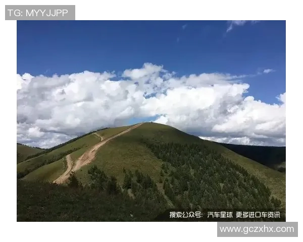 刘静独家分享攀岩技巧与心得体会助你轻松征服高峰